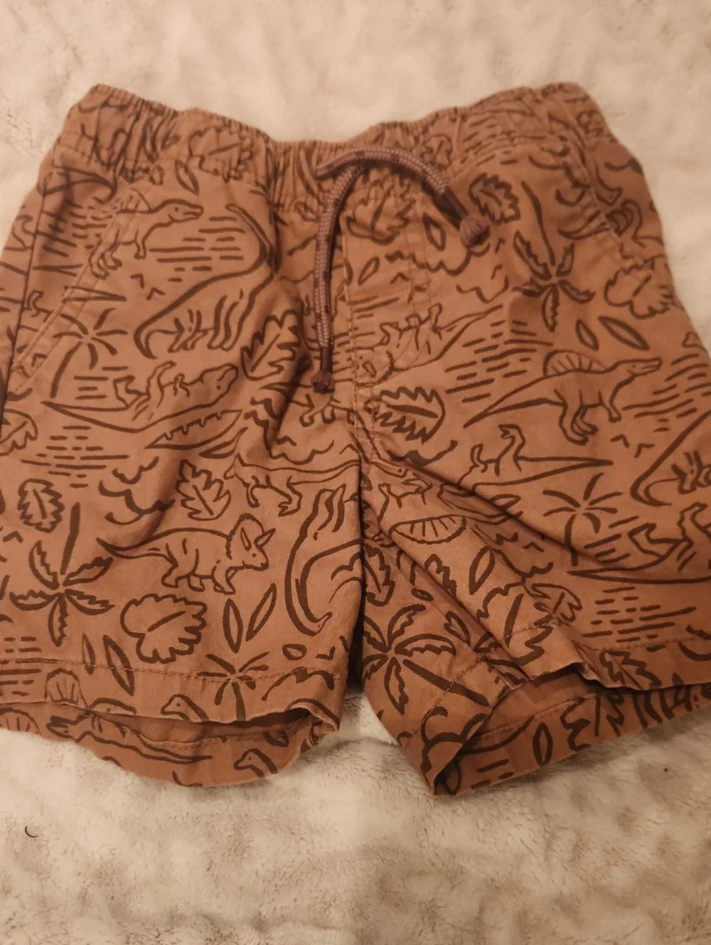 Boy's Brown Jungle Printed Casual Shorts